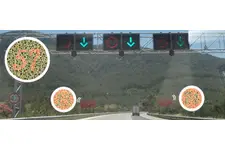 Ehliyet Renk Körlüğü Tespiti Ehliyet Renk Körlüğü Tespiti