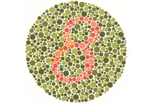 Renk Körlüğü Testi Renk Körlüğü Testi