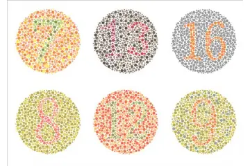 Renk Körlüğü Nasıl Anlaşılır?