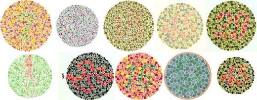 Renk Körlüğü Ehliyet