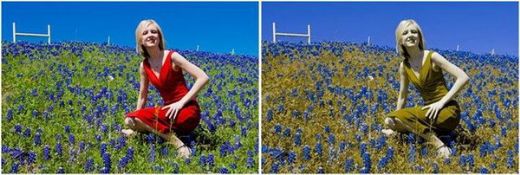 Yeşil Renk Körlüğü Renk Körlüğü Sebepleri