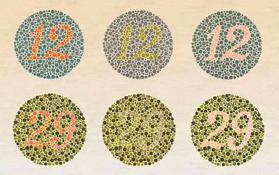 Renk Körlüğü Nedir?