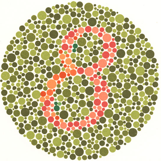 Renk Körlüğü Testi